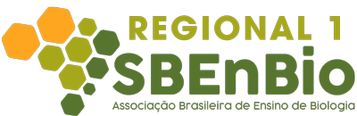 Regional 1  - Sbenbio